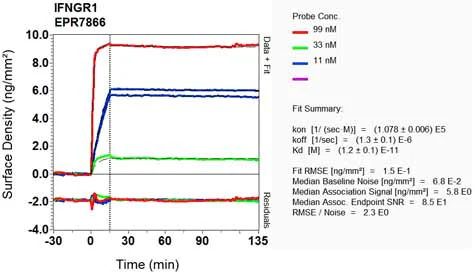 OI-RD Scanning - Anti-IFNGR1 antibody [EPR7866] - Low endotoxin, Azide free (AB246696)