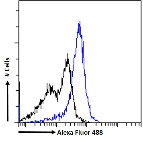 Flow Cytometry (Intracellular) - Anti-IFT88 antibody (AB42497)
