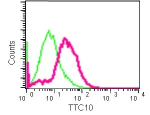 Flow Cytometry (Intracellular) - Anti-IFT88 antibody [EPR14850] - BSA and Azide free (AB250767)