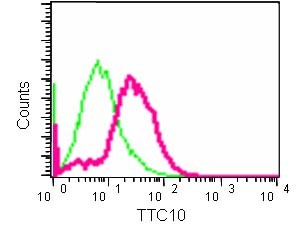 Flow Cytometry (Intracellular) - Anti-IFT88 antibody [EPR14850] - N-terminal (AB184566)