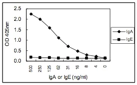 Sandwich ELISA - Anti-IgA antibody [KT41] (AB106731)