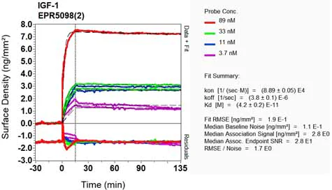 OI-RD Scanning - Anti-IGF1 + IGF2 antibody [EPR5098(2)] (AB133542)