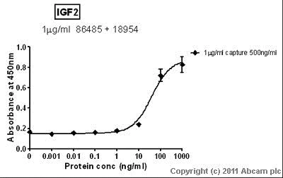 Sandwich ELISA - Anti-IGF2 antibody (AB18954)