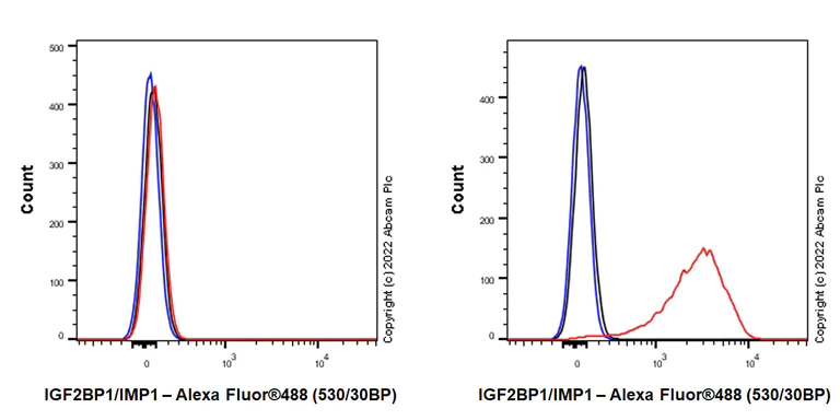 Flow Cytometry (Intracellular) - Anti-IGF2BP1/IMP1 antibody [EPR26408-18] - BSA and Azide free (AB290751)