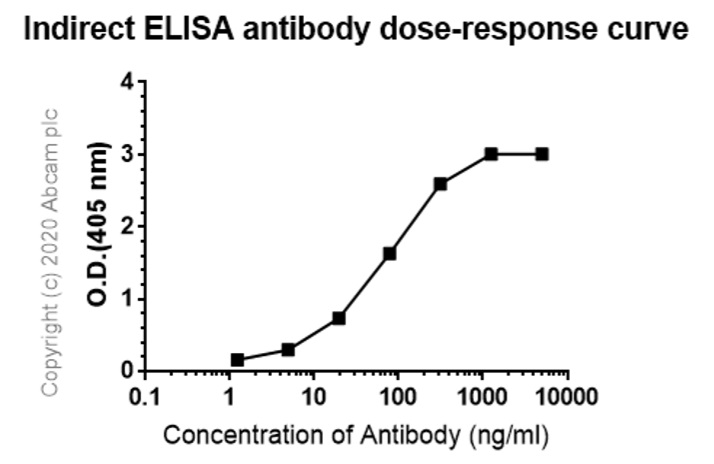 Indirect ELISA - Anti-IgG antibody [R10Z8E9] - BSA and Azide free (AB256120), expandable thumbnail