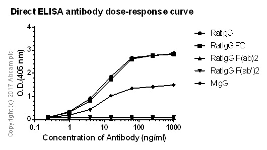 Anti-IgG antibody [RIGG-69]