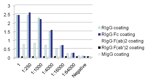 ELISA - Anti-IgG antibody [RIGG-69] - BSA and Azide free (AB248512)