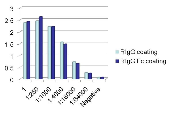 ELISA - Anti-IgG antibody [RIGG-69] - BSA and Azide free (AB248512)