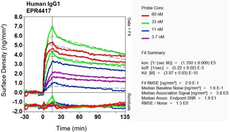 OI-RD Scanning - Anti-IgG1 antibody [EPR4417] (AB108969)