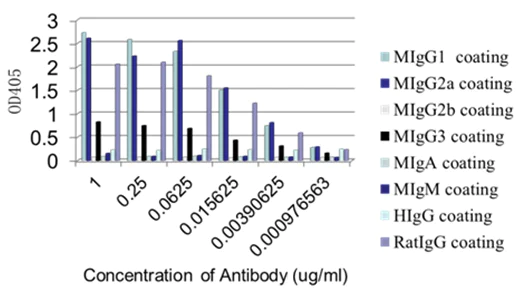 ELISA - Anti-IgG1 + IgG2a + IgG3 antibody [M204-3] (AB133469)