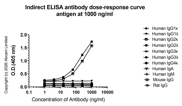 Indirect ELISA - Anti-IgG2 antibody [EPR4418] (AB134050)