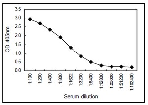 Sandwich ELISA - Anti-IgM antibody [KT16] (AB110653)