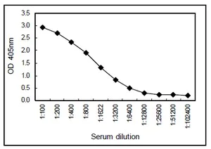 Sandwich ELISA - Anti-IgM antibody [KT16] (AB110653)