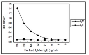 Sandwich ELISA - Anti-IgM antibody [KT16] (AB110653)