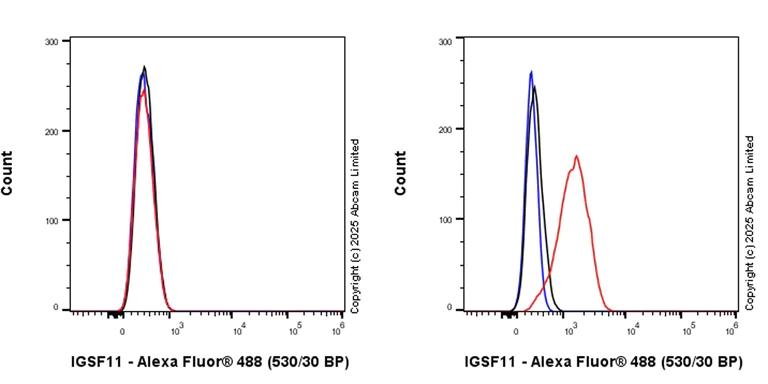 Flow Cytometry - Anti-IGSF11 antibody [EPR27279-37] - BSA and Azide free (AB325351)