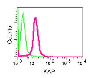 Flow Cytometry (Intracellular) - Anti-IKAP/p150 antibody [EPR13113] - BSA and Azide free (AB210396)