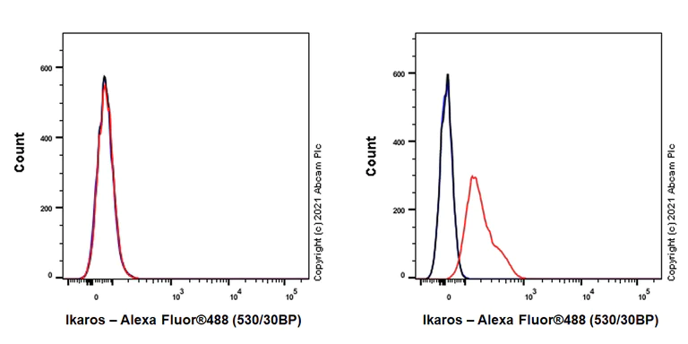 Flow Cytometry (Intracellular) - Anti-Ikaros antibody [EPR25259-176] (BSA and Azide free) (AB300417)