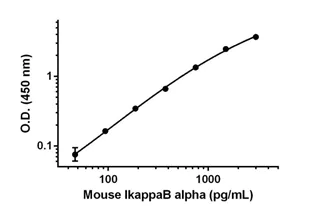 Sandwich ELISA - Anti-IKB alpha antibody [EPR17813-30] - BSA and Azide free (Detector) (AB242988)