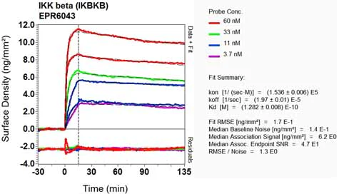 OI-RD Scanning - Anti-IKK beta antibody [EPR6043] - BSA and Azide free (AB171364)