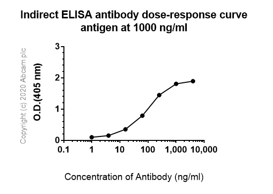 ELISA - Anti-IKZF3 Degron tag antibody [1C3] - BSA and Azide free (AB269478), expandable thumbnail