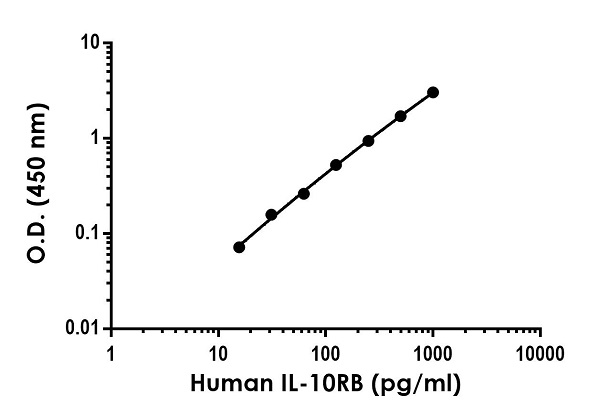Sandwich ELISA - Anti-IL-10RB/IL-10R2 antibody [EPR21829-219] - BSA and Azide free (Detector) (AB259506)