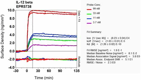 OI-RD Scanning - Anti-IL-12 p40 antibody [EPR5738] - BSA and Azide free (AB214444), expandable thumbnail