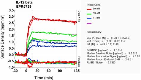OI-RD Scanning - Anti-IL-12B antibody [EPR5739] - Low endotoxin, Azide free (AB246704), expandable thumbnail