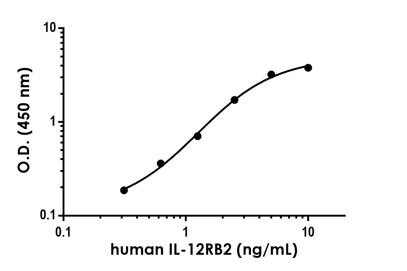 Sandwich ELISA - Anti-IL-12RB2 antibody [EPR24604-33] - BSA and Azide free (Detector) (AB289811)