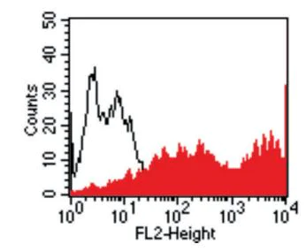 Flow Cytometry - Anti-IL-13 receptor alpha 1 antibody [GM1E7] (AB39418)