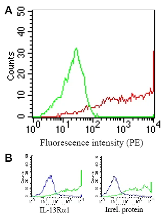 Flow Cytometry - Anti-IL-13 receptor alpha 1 antibody [GM1E7] (AB39418)