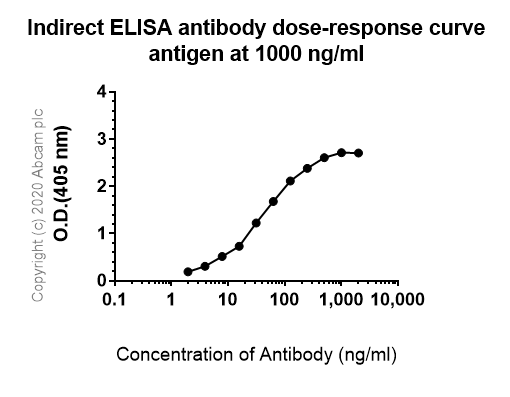 Indirect ELISA - Anti-IL-13 receptor alpha 2 antibody [EPR22978-163] (ab260044), expandable thumbnail