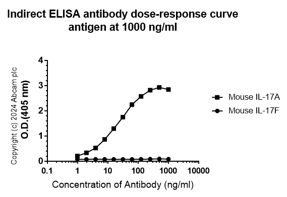 Indirect ELISA - Anti-IL-17A antibody [RM1202] - BSA and Azide free (AB318151), expandable thumbnail