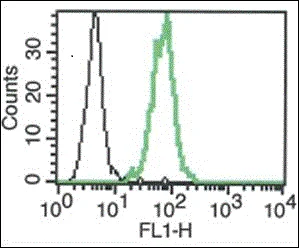Flow Cytometry - Anti-IL-18R1 antibody [B-E43] - BSA and Azide free (AB288532)