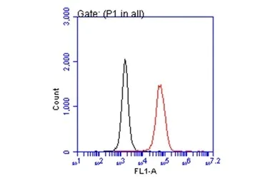 Flow Cytometry - Anti-IL-2 antibody (AB227101)