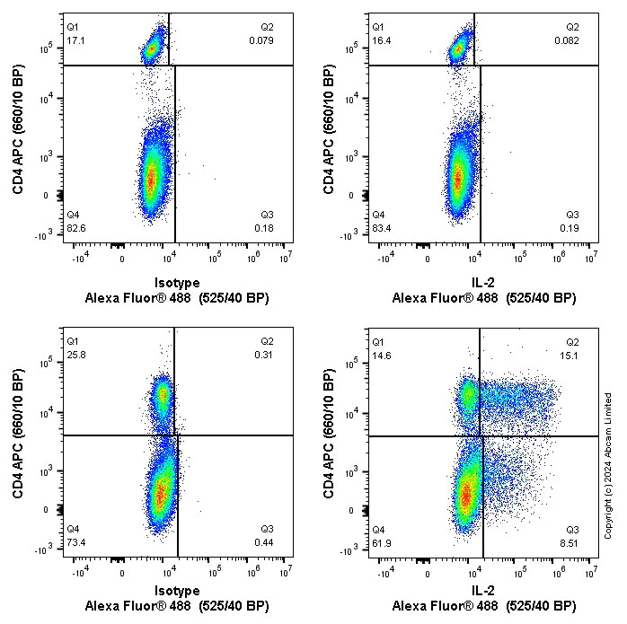 Flow Cytometry (Intracellular) - Anti-IL-2 antibody [EPR16615-341] (AB243650)