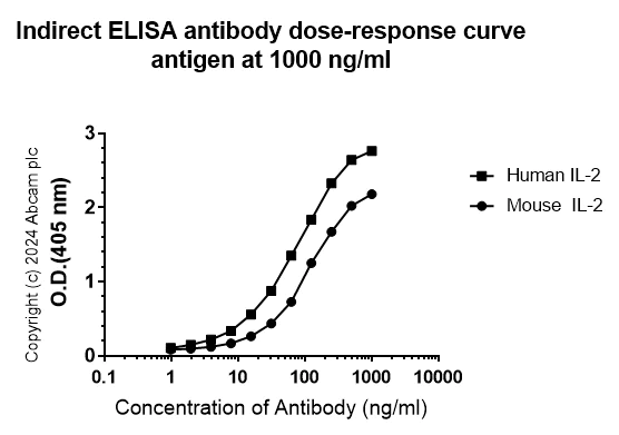 Indirect ELISA - Anti-IL-2 antibody [RM1124] (AB317331)