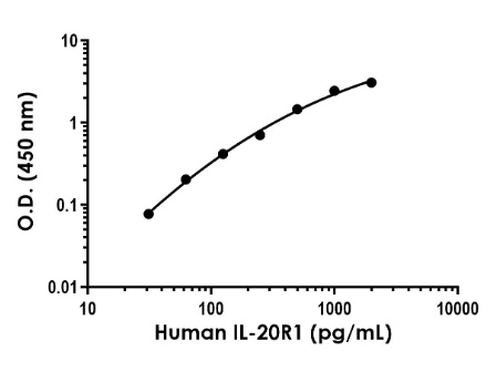 Sandwich ELISA - Anti-IL-20R1 antibody [EPR24607-142] - BSA and Azide free (Capture) (AB307751), expandable thumbnail