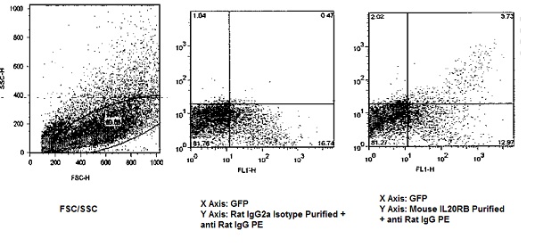 Flow Cytometry - Anti-IL-20R2 antibody [20RNTC] (AB95824)