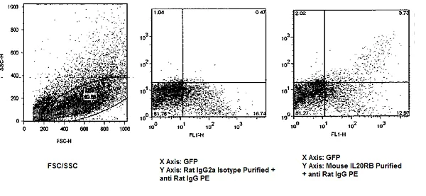 Flow Cytometry - Anti-IL-20R2 antibody [20RNTC] (AB95824)