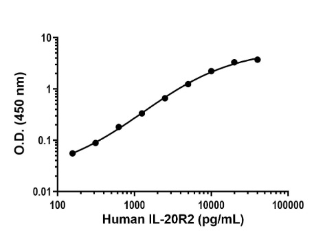 Sandwich ELISA - Anti-IL-20R2 antibody [EPR24558-34] - BSA and Azide free (Capture) (AB307745), expandable thumbnail