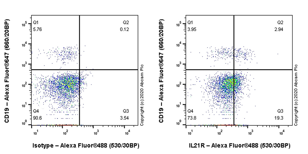 Flow Cytometry - Anti-IL-21R antibody [EPR23637-53] - BSA and Azide free (AB274422), expandable thumbnail