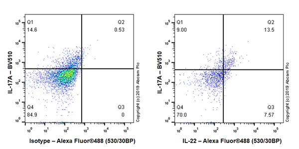 Flow Cytometry (Intracellular) - Anti-IL-22 antibody [EPR20211-49] - BSA and Azide free (AB263954)