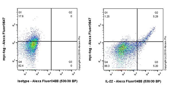 Flow Cytometry (Intracellular) - Anti-IL-22 antibody [EPR20211-49] - BSA and Azide free (AB263954)