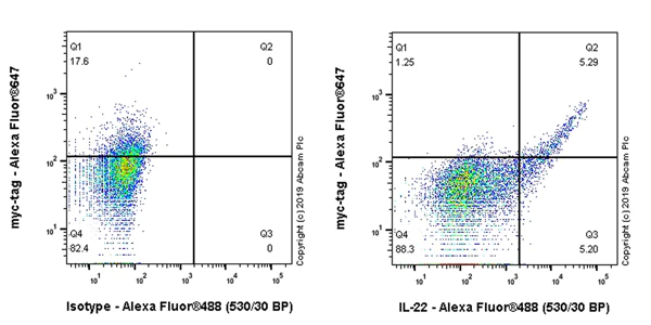 Flow Cytometry (Intracellular) - Anti-IL-22 antibody [EPR20211-49] - BSA and Azide free (AB263954)