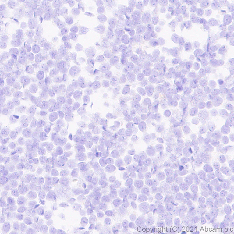 Immunohistochemistry (Formalin/PFA-fixed paraffin-embedded sections) - Anti-IL-22RA1 antibody [EPR24559-15] - BSA and Azide free (AB283701)