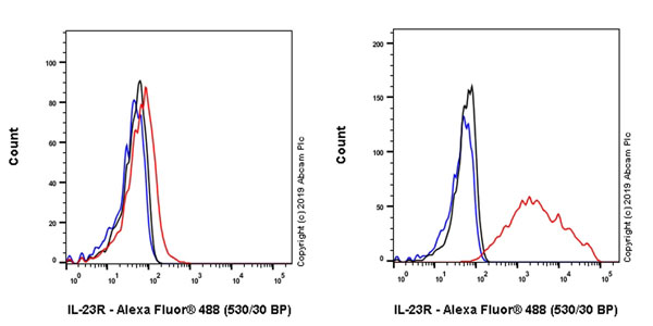 Flow Cytometry (Intracellular) - Anti-IL-23R antibody [EPR22838-4] (AB222104), expandable thumbnail