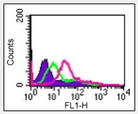 Flow Cytometry (Intracellular) - Anti-IL-24 antibody (AB115207)
