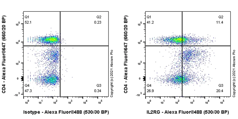 Flow Cytometry - Anti-IL-2RG antibody [EPR24561-27] - BSA and Azide free (AB281850)