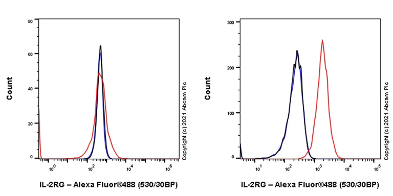 Flow Cytometry - Anti-IL-2RG antibody [EPR24561-27] - BSA and Azide free (AB281850)