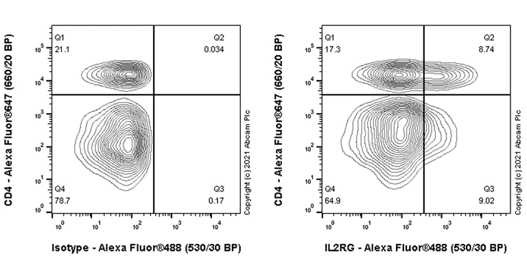 Flow Cytometry - Anti-IL-2RG antibody [EPR24561-27] - BSA and Azide free (AB281850)